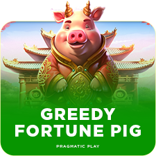 GREEDY FORTUNE PIG